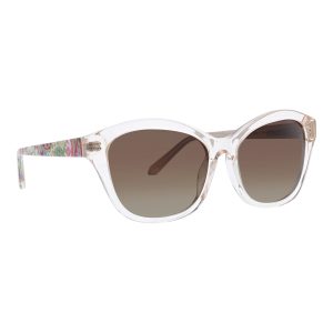 Dall Polarized Sunglasses